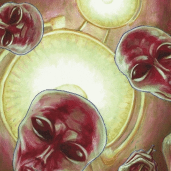 Meet your Posher, Steve - Picture 3 of 5